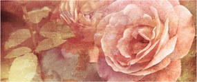 Obraz ruží (120x50 cm)