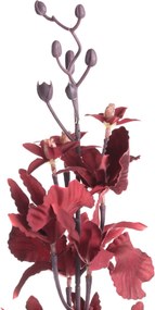 Orchidea 100cm maroon