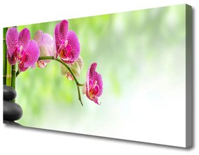 Obraz na plátne Kvet kamene rastlina 100x50 cm