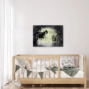 Obraz - Spln nad hladinou, čiernobiely variant (70x50 cm)