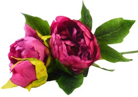 Kytica Paeonia 37cm fuksia A2150064