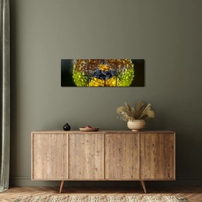 Detailný obraz očí hmyzu (s hodinami) (90x30 cm)