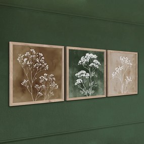 Obrazy v súprave 3 ks 30x30 cm Floral Imprint – Styler