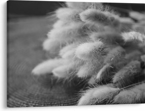 Obraz - bunny tail grass na stole (70x50 cm)