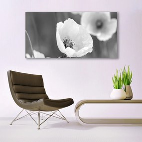 Obraz plexi Maky rastlina príroda 120x60 cm