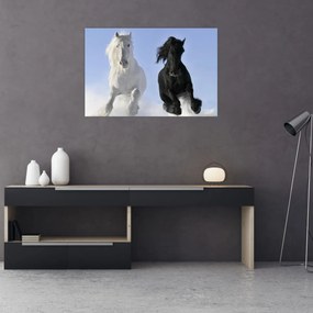 Obraz - Kone v zime (90x60 cm)