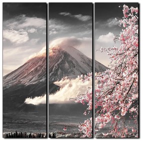 Obraz na plátne - Hora Fuji a čerešňové kvety na jar - štvorec 3266QB (105x105 cm)