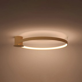 Stropné LED svietidlo Rio 78, 1x LED 50w, 3000k, g