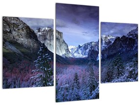 Obraz - Yosemite, USA (90x60 cm)