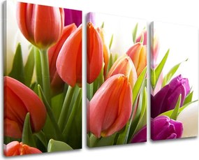 Obraz na stenu 3 dielny KVETY XOBKV138E30 - 120x80 cm