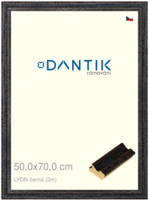 DANTIK rám na obraz 50x70 | LYON černá (Plexi Čiré)