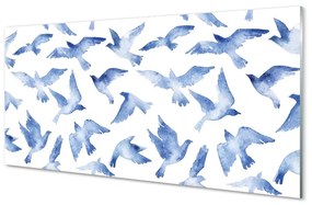 Sklenený obraz maľované vtáky 125x50 cm