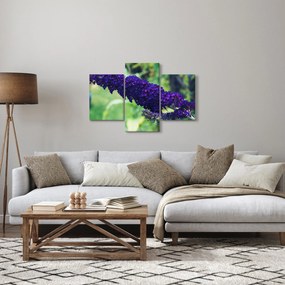 Obraz modrej kvetiny (90x60 cm)