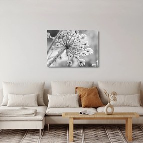 Sklenený obraz - Kvetina v zime (70x50 cm)