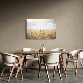 Obraz obilia (90x60 cm)