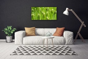 Obraz Canvas Rastlina príroda 120x60 cm