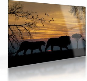 Sklenený obraz Safari (70x50 cm)