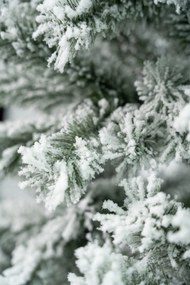 Limpol Vianočný stromček – zasnežená jedľa Gumis Výška stromčeka: 150 cm