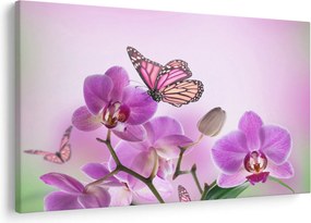 Obraz - Motýľ na kvetoch orchidey, lila (90x60 cm)