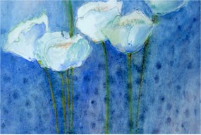 Obraz - Biele tulipány (90x60 cm)