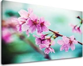 Obraz na stenu KVETY KV056E11 - 100x150 cm