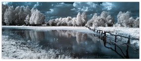 Obraz - Zamrznutá krajina (120x50 cm)