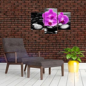 Obraz - Fialové orchidey (90x60 cm)