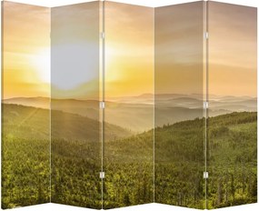Paraván - Panorama (210x170 cm)