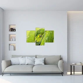 Obraz hada (90x60 cm)