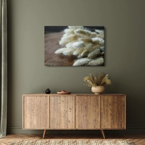 Obraz - Zajačí chvostík (90x60 cm)