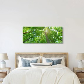 Obraz - Les (120x50 cm)