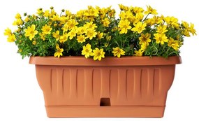 BAMA Hrantík Natura, farba terracotta Množstvo: 2 ks, Rozměry: 30 cm