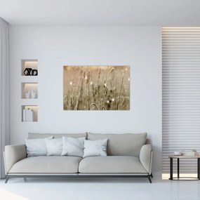 Obraz - Harmonická lúka (90x60 cm)