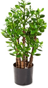 Umelá rastlina Crassula ovata 60 cm