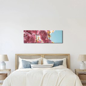 Obraz - Čerešňový kvet (s hodinami) (90x30 cm)
