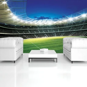Fototapeta - Futbal (254x184 cm)
