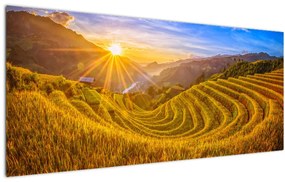 Obraz - Ryžové terasy vo Vietname (120x50 cm)