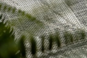 Koberec ORGANIC 2735 krémový / sivý / naturálny