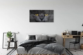 Sklenený obraz Čierna mačka 125x50 cm