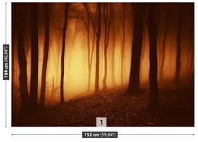 Fototapeta Vliesová Strašidelný les 250x104 cm