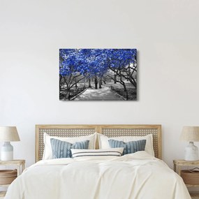 Obrázok - Modré stromy, Central Park, New York (90x60 cm)
