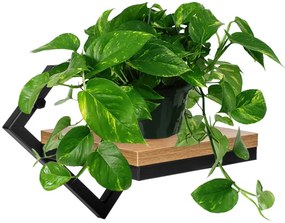 Nástenný stojan na kvety DORON čierny