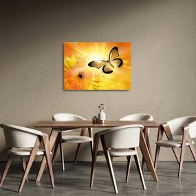 Sklenený obraz - Žltý motýľ s kvetom (70x50 cm)
