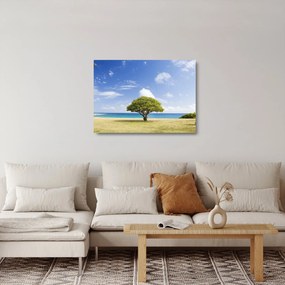 Sklenený obraz pláže so stromom (70x50 cm)