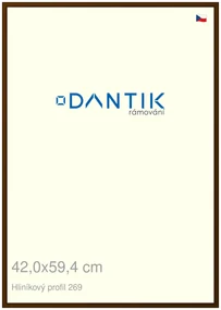 DANTIK rám na obraz 42x59,4 | ALU Hnědá umbra broušená (Plexi Čiré)