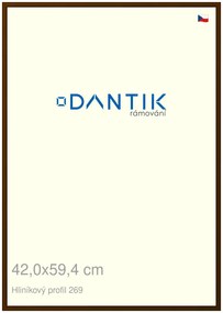 DANTIK rám na obraz 42x59,4 | ALU Hnědá umbra broušená (Plexi Čiré)
