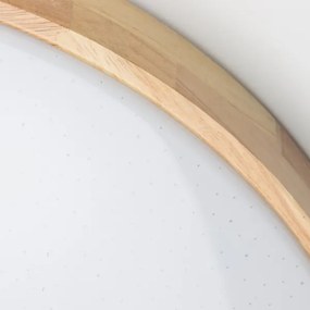 BRILAGI - LED stmievateľné stropné svietidlo PINE LED/60W/230V + diaľkové ovládanie