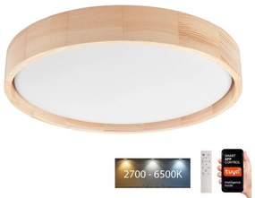 Brilagi - LED stropné svietidlo MANAROLA SMART LED/24W/230V + DO Tuya
