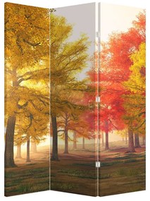 Paraván - Jesenné stromy (126x170 cm)