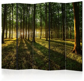 Artgeist Paraván - Morning in the Forest II [Room Dividers]